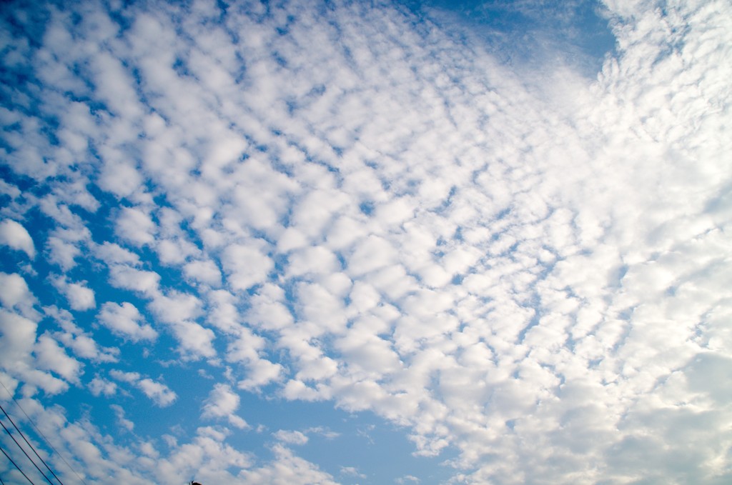 ひつじ雲の由来は どんな雲でいわし雲との違いは 英語での表現は 由来を調べるドットコム