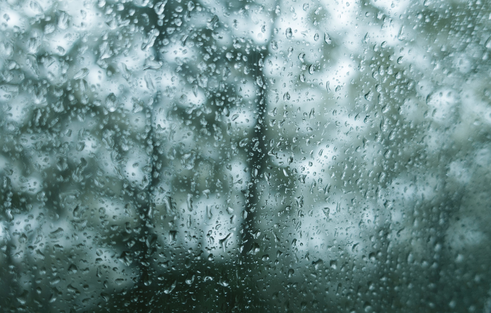 由来を調べるドットコム非常に激しい雨は降水量何mm？気象用語の雨の強さ表現ランキング！