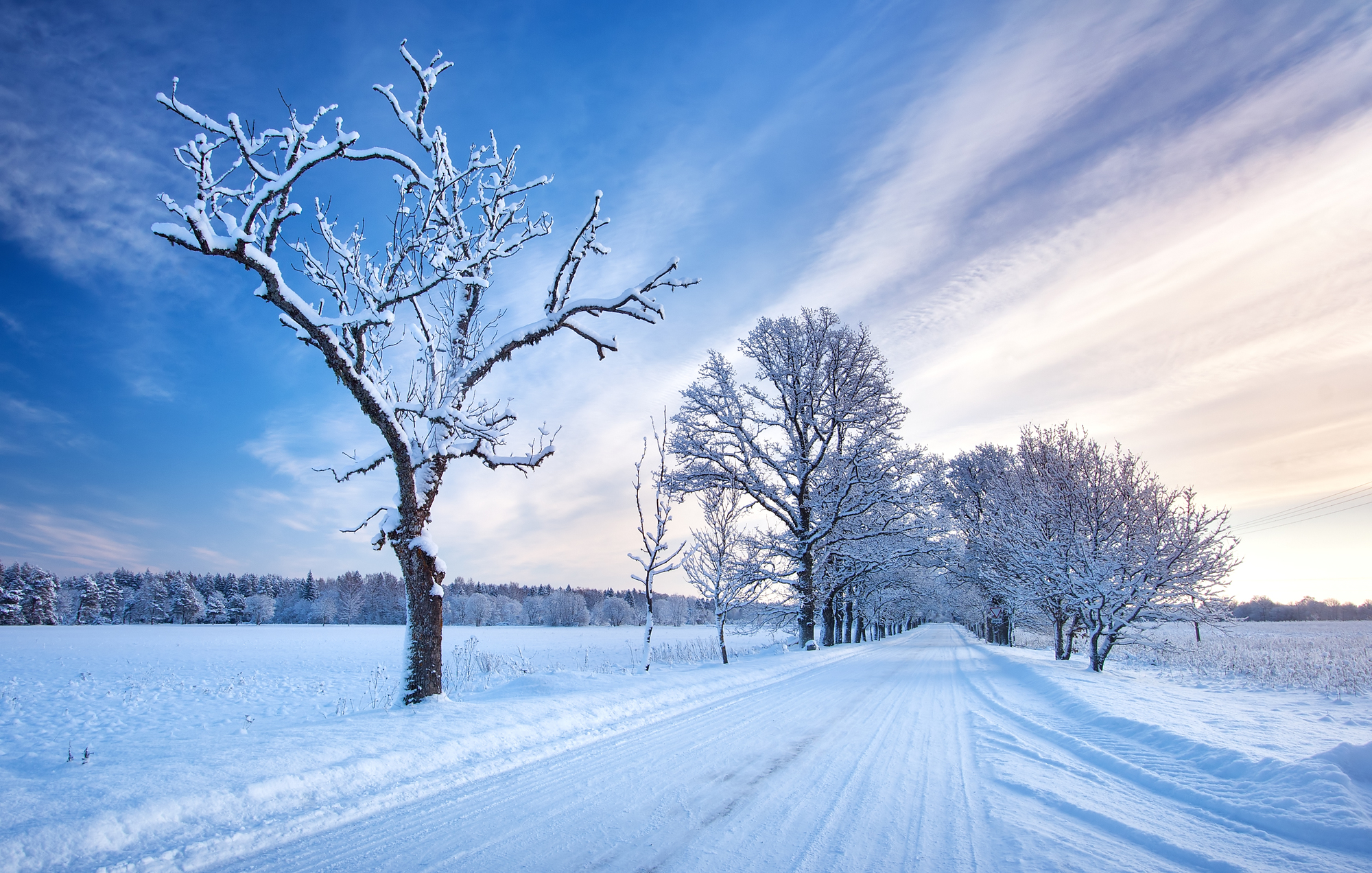 雪景色の意味と英語での表現は 類義語の雪化粧との違いは 由来を調べるドットコム