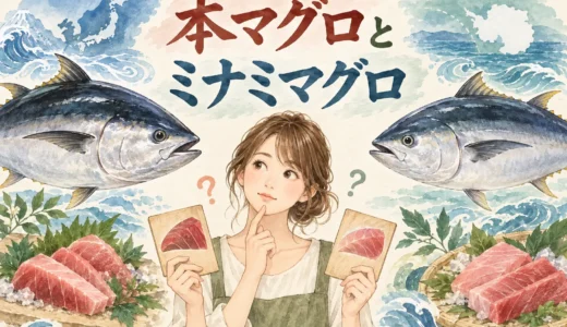 本マグロとミナミマグロの違いは？名前だけで決めない選び方