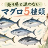 スーパーでマグロ5種類を見比べるゆらの水彩イラスト