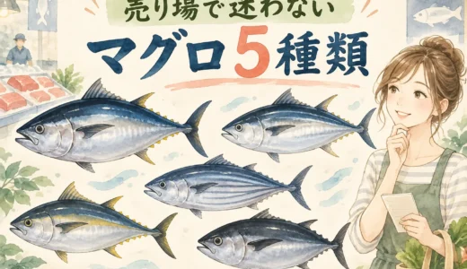 スーパーで見るマグロ5種類の違いは？名前・味・食べ方から選ぶ