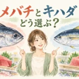 メバチとキハダを見比べるゆらの水彩イラスト