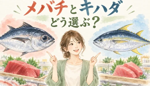 メバチマグロとキハダマグロの違いは？赤身の味と用途で選ぶ